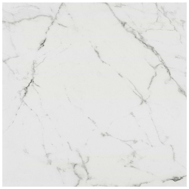 Dreamstone 24X24 Matte Porcelain Tile, Statuario Venato Matte