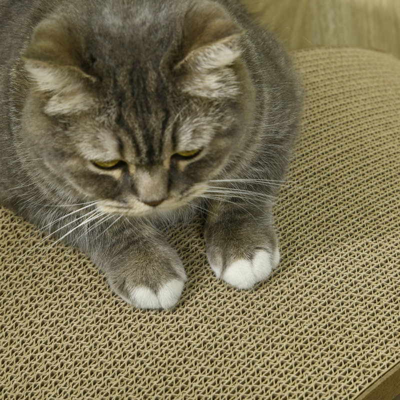 Scratching Post