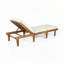 Chaise longue d'extérieur en bois avec coussin