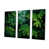Toile tendue