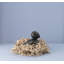 Songbird Ernst Figurine-2026009748-2026009747-2075445567