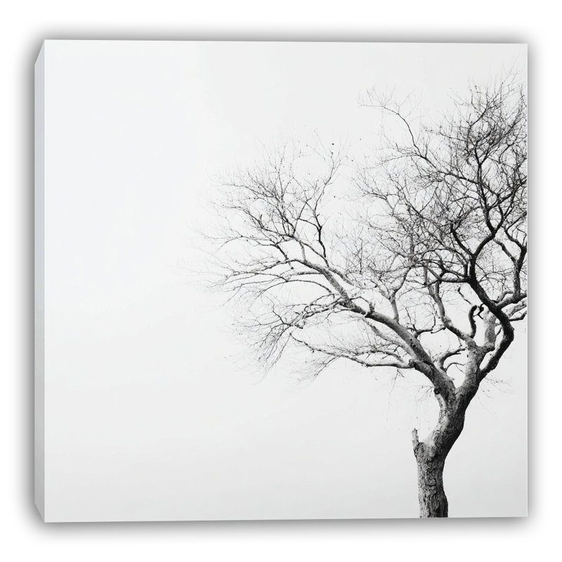 Art mural sur toile Bare Elegance, H 12 po x l 12 po