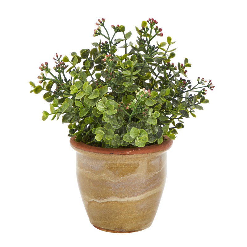 10'' Faux Eucalyptus Plant in Ceramic Planter