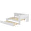 Castaneda Upholstered Daybed with Trundle-46050815
