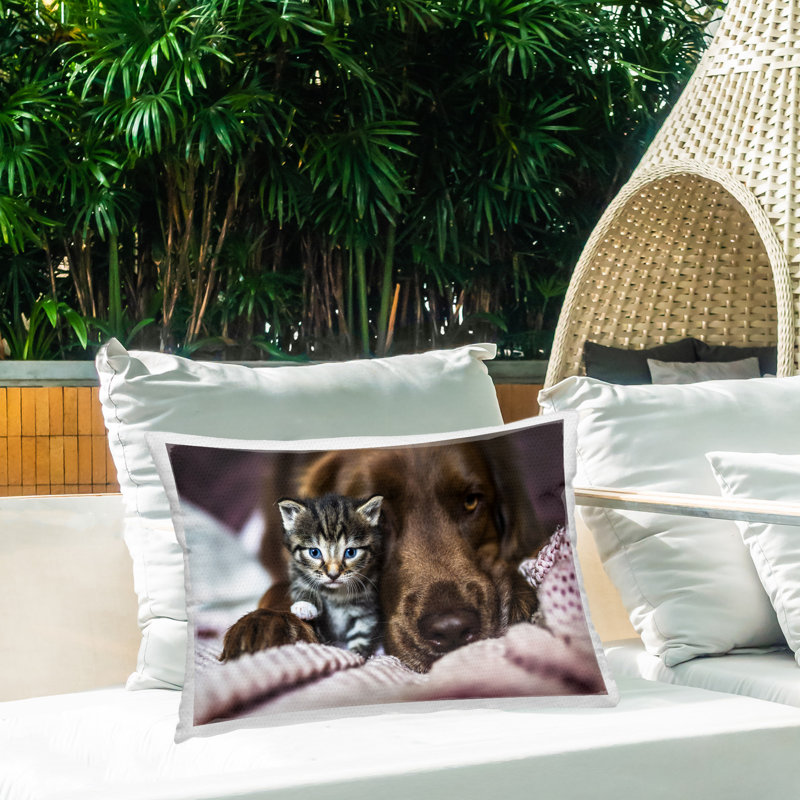 Coussin extérieur Kitten & Dog Friendship par Natalie Grosse