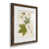 Papier, cadre noyer