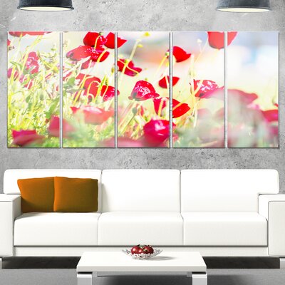 Beautiful Red Poppy Flowers View' 5 Piece Photographic Print on Metal Set -  Design Art, MT12620-401