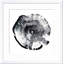«Tree Ring Abstract I» par Ethan Harper - peinture encadrée-213205686-169847516