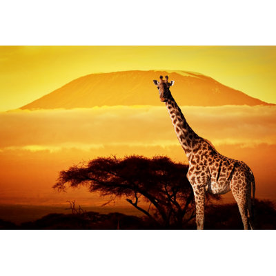 Giraffe On Savanna by NiseriN - Wrapped Canvas Print