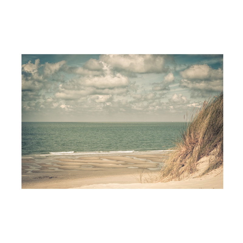 Bernardine De Laat First View Canvas Art, 16" H x 24" W