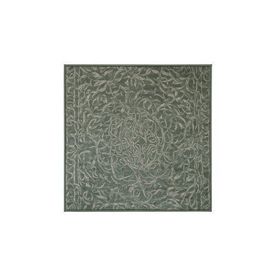 Tapis vert soyeux et moelleux