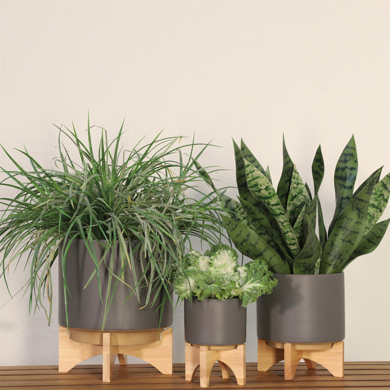 Pot à fleurs en céramique avec support en bambou - Pot moderne avec base surélevée pour l'intérieur, Beige, 2