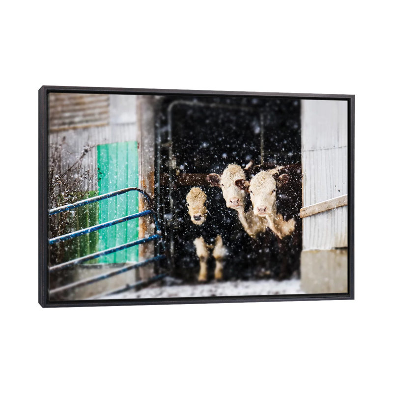 «Barnyard Winter», reproduction d'art encadrée, H 18 po x l 26 po x P 1,5 po, Cadre noir vieilli