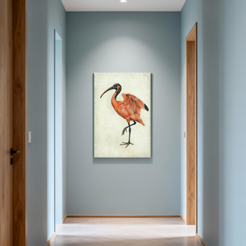 Animaux, animaux, écarlate, oiseau, impression sur toile, H 24 po x l 16 po