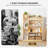49" H x 33" W 7-Tier Open Bookcase Bookshelf, Freestanding Display Storage Shelves for Bedroom Living Room Office