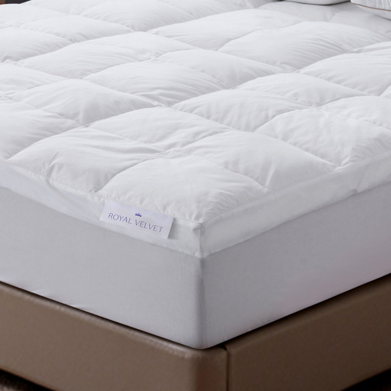 Belchers 5 in. Feather Mattress Topper, Full