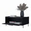 Table basse noire avec porte rabattable-621782178