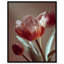 Muse of Spring Floral & Botanical Canvas Print by Oliver Gal, Black Frame, 16 x 20-1012283381-1012283391