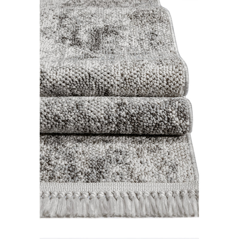 Raxton Abstract Machine Made Indoor / Outdoor Area Rug, Runner 3'11" x 9'10"