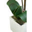 52Cm Artificial Flowering Plant in Pot
