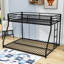 Alixx Kids Twin Over Full Bunk Bed
