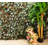 47" H x 43" W Vinyl Lattice Panel Trellis