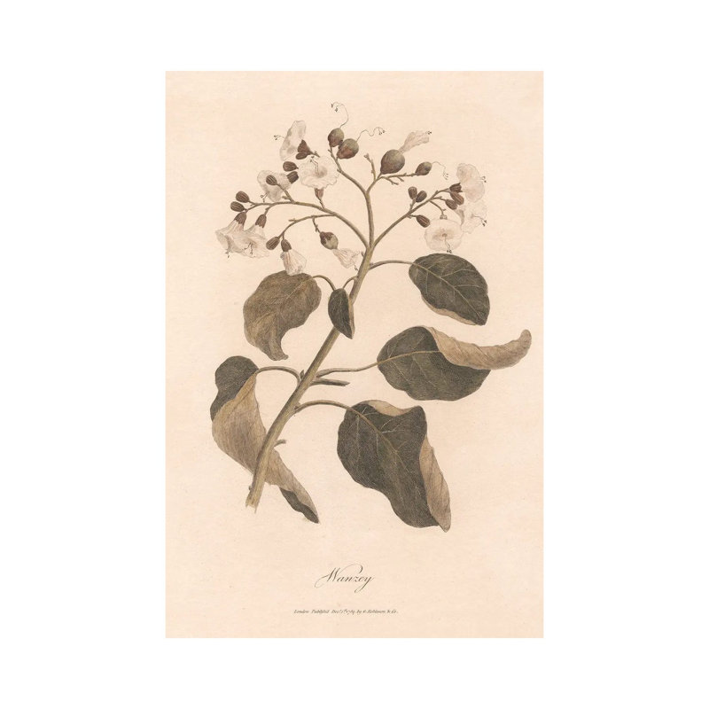 Print, 66.04 cm H x 45.72cm W x 3.175cm D, Does Not Apply