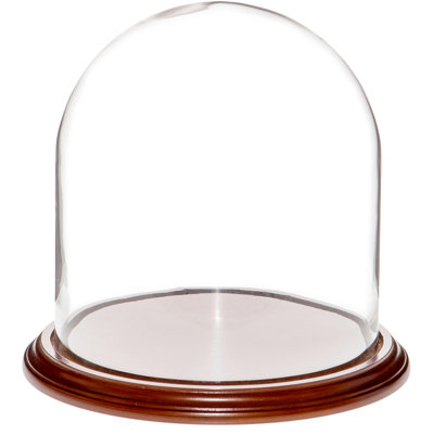 Cloche à dôme en verre 9,75 "x 10" Vucciria