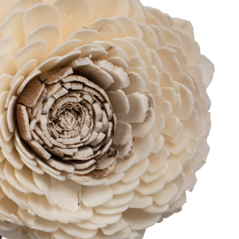 Preserved Charki Arrangement