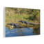 Art de mur d'alligator d'eau salée, impression d'art mural