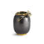 Anemone Medium Vase