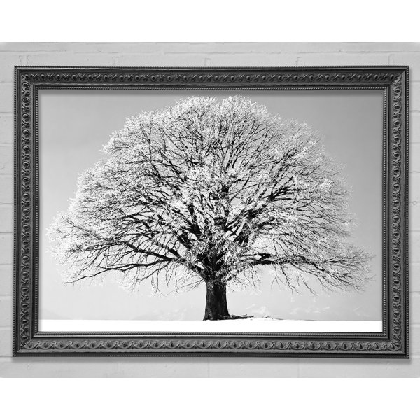 Ebern Designs Winter Snow Tree B N W - Single Picture Frame Art Prints ...