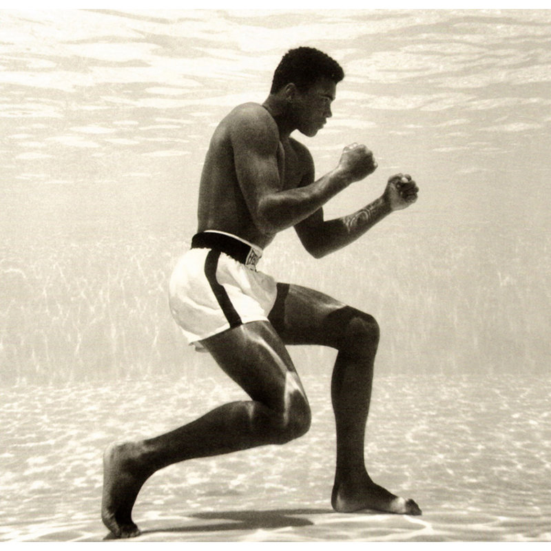 Muhammad Ali, H 15 po x l 16 po