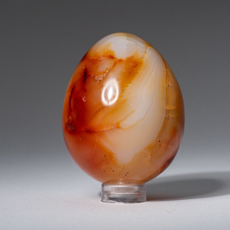 Véritable agate de cornaline (petit) œuf de Madagascar