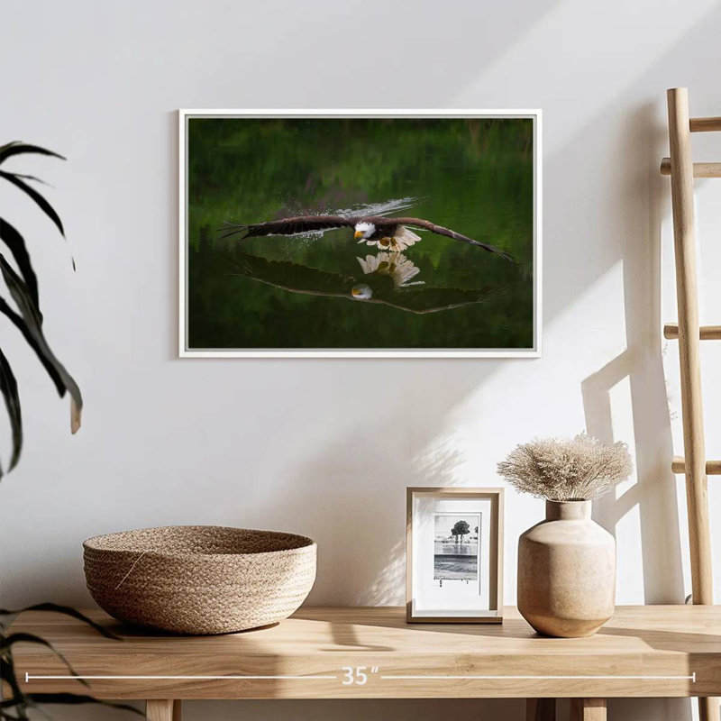 Bald Eagle Reflection, 19" X 13", Floating Frame White