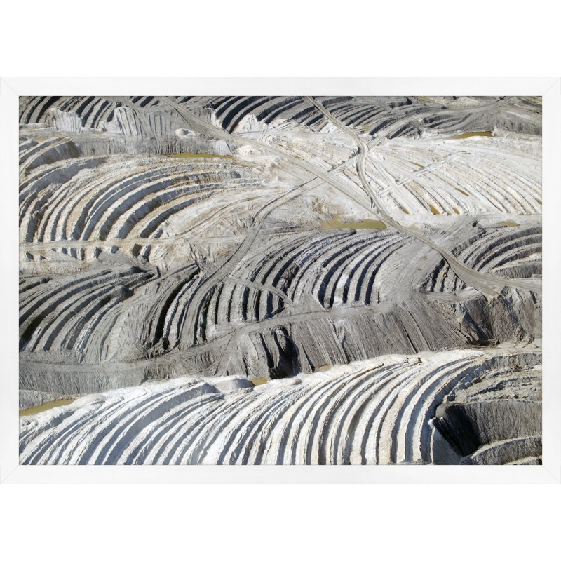 Earth Pattern 3 Print by Thom Filicia