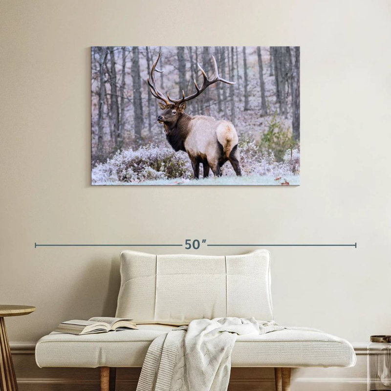 Brampt Wandering Winter Elk
