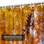 Magnifique rideau de douche d'automne avec 12 crochets-975699784
