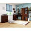 Theroux L-Shape Desk-1733075418-1729721152