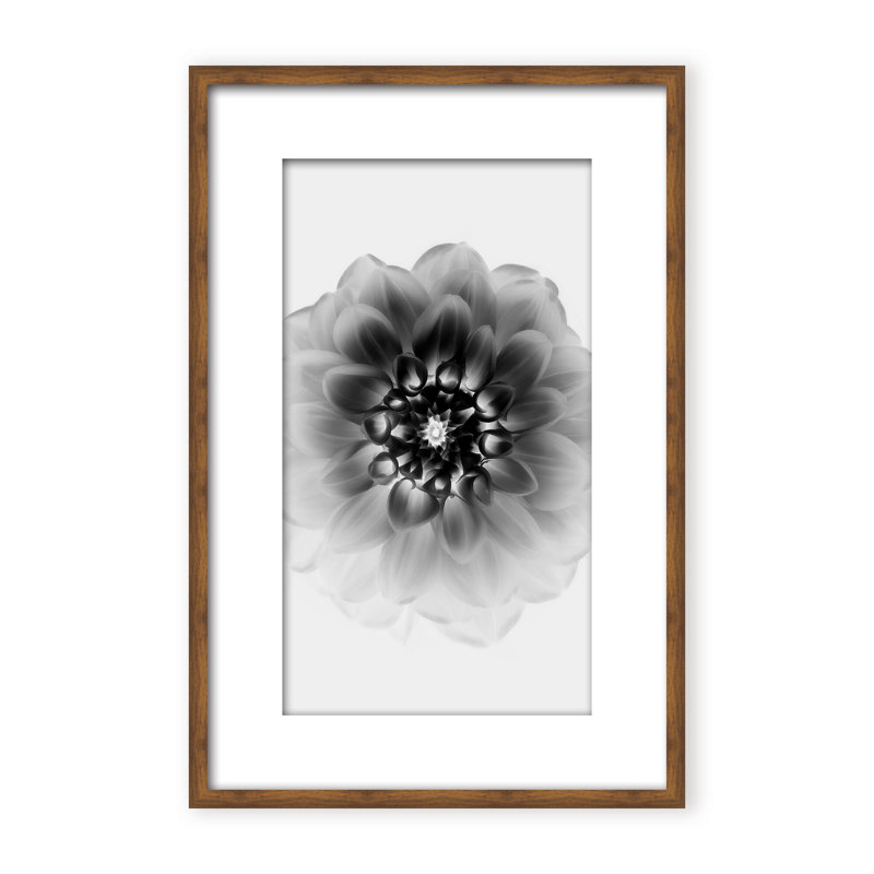 X-Ray Print by Alex Zhao, 48" H x 32" W x 1.125" D, Black, Framed Matted Print