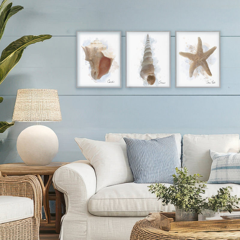 Ensemble de 3 giclées encadrées Honeybloom Coastal Seashells, par Matthew Piotrowicz, H 14 po x l 11 po