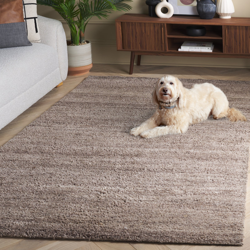 Tapis naturel / brun clair Himalaya 951, Rectangle de 5 pi x 8 pi