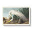 White Heron by John Audubon - Wrapped Canvas-55305241