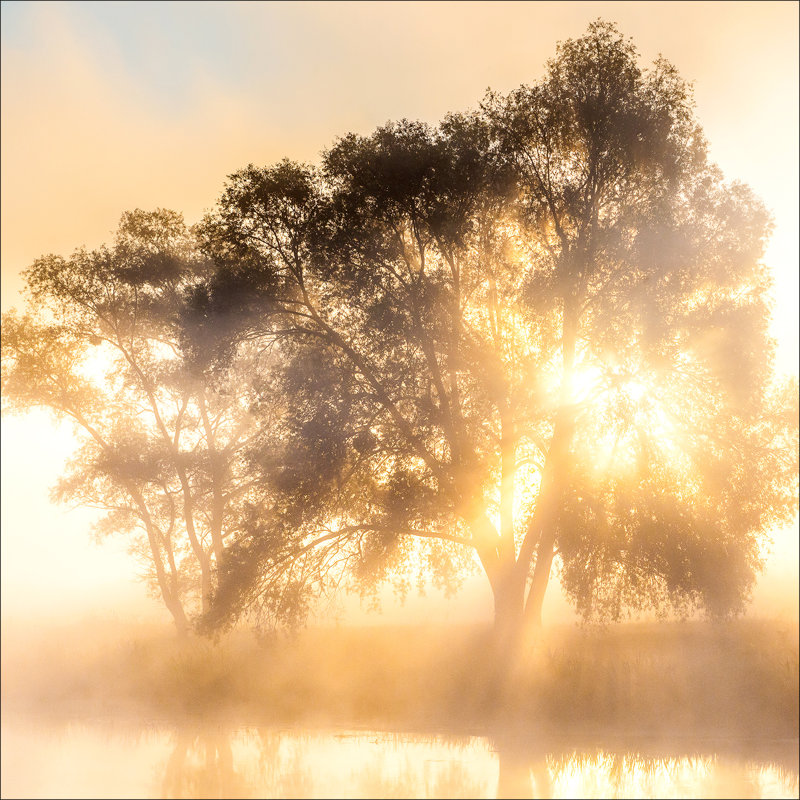 No Frame Print on Glass, 80 cm H x 80 cm W x 1.5cm D