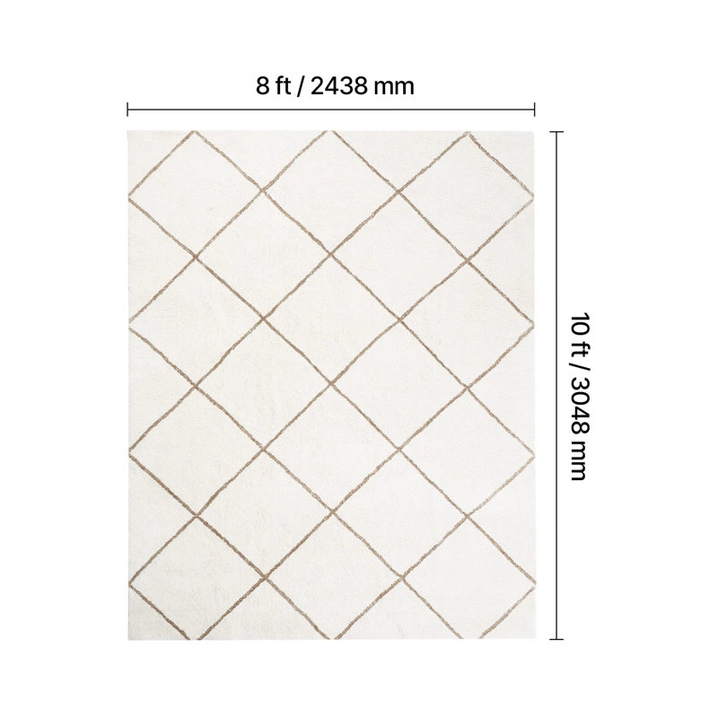 Tapis d'intérieur moelleux, tapis moelleux de 8 pi x 10 pi, tapis à poils longs avec poils longs, épais et durables