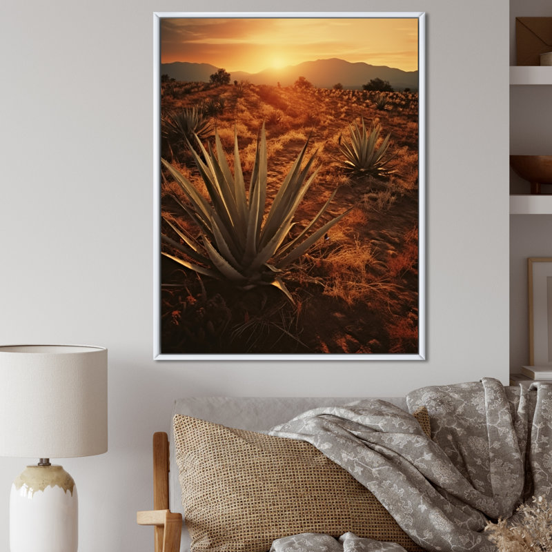 Succulent Field au Texas, Cadre flottant blanc, H 32 po x l 16 po x P 1 po