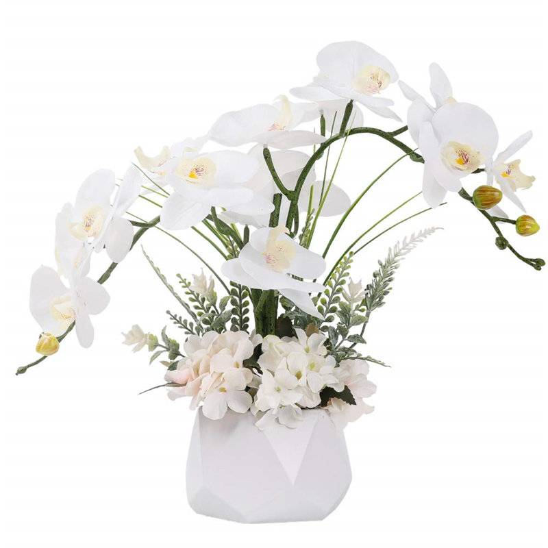 Roudy Arrangement, White