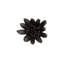Compactum Succulent Wall Decor