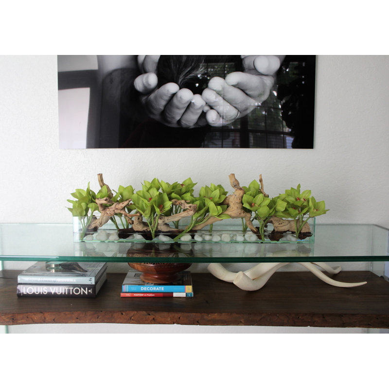 Casa Moderna Glass Plate Orchids Floral Arrangement in Planter