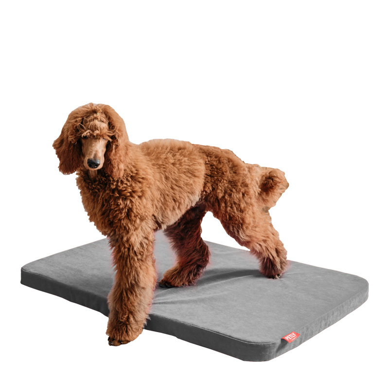 Orthopedic Microfibre Pet Bed, Light Grey, Medium (80cm W x 60cm D)